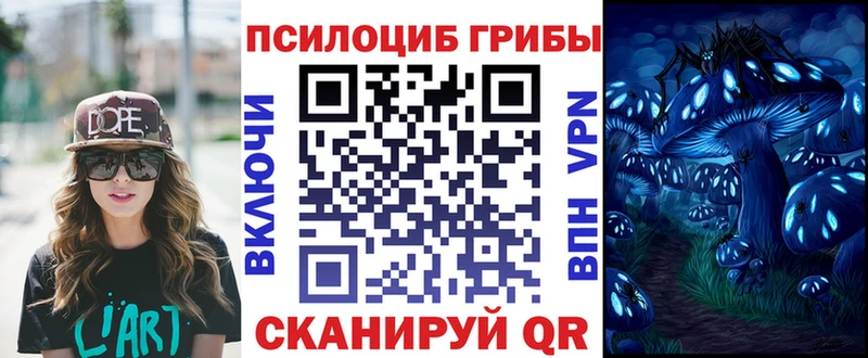 мега онион  Иноземцево  Псилоцибиновые грибы GOLDEN TEACHER 